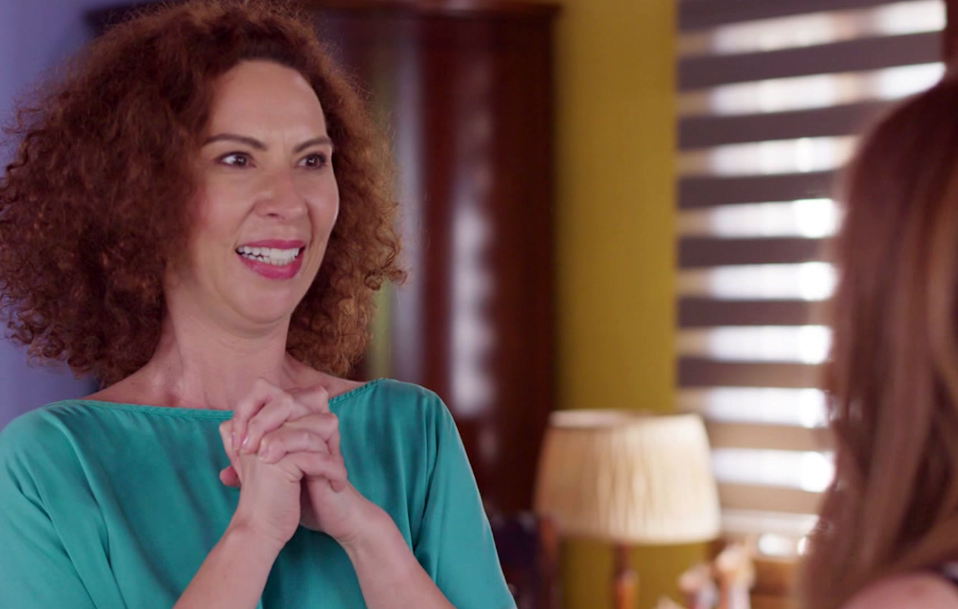 Η γη της ελιάς Η γη της ελιάς