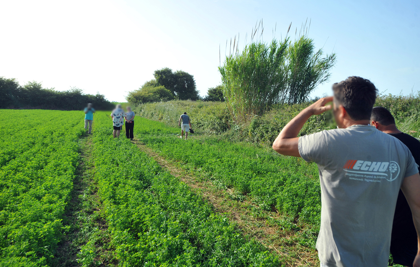 Δολοφονία 11χρονης στην Ηλεία