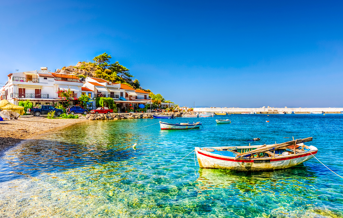 Κοκκάρι Κοκκάρι