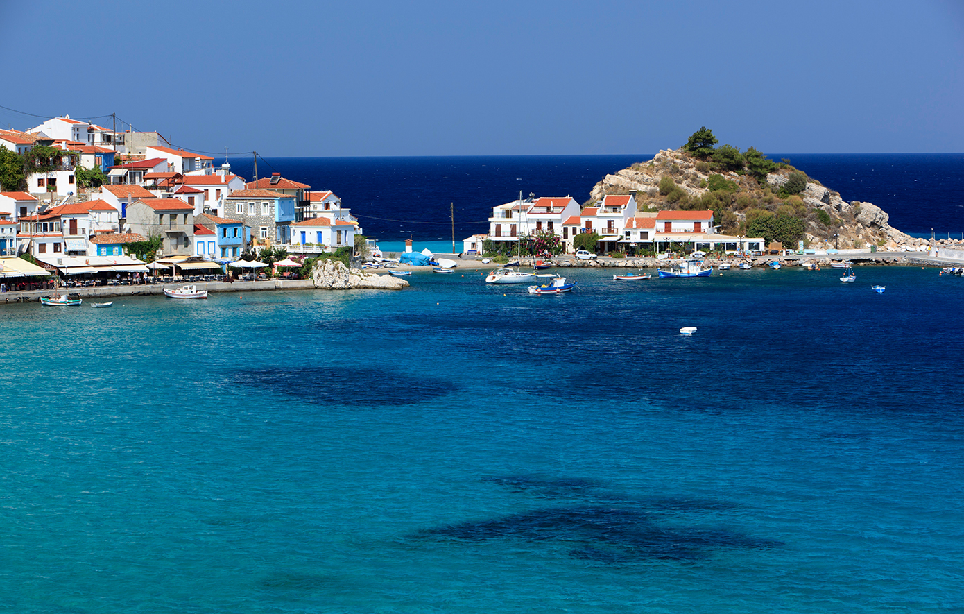 Κοκκάρι Κοκκάρι