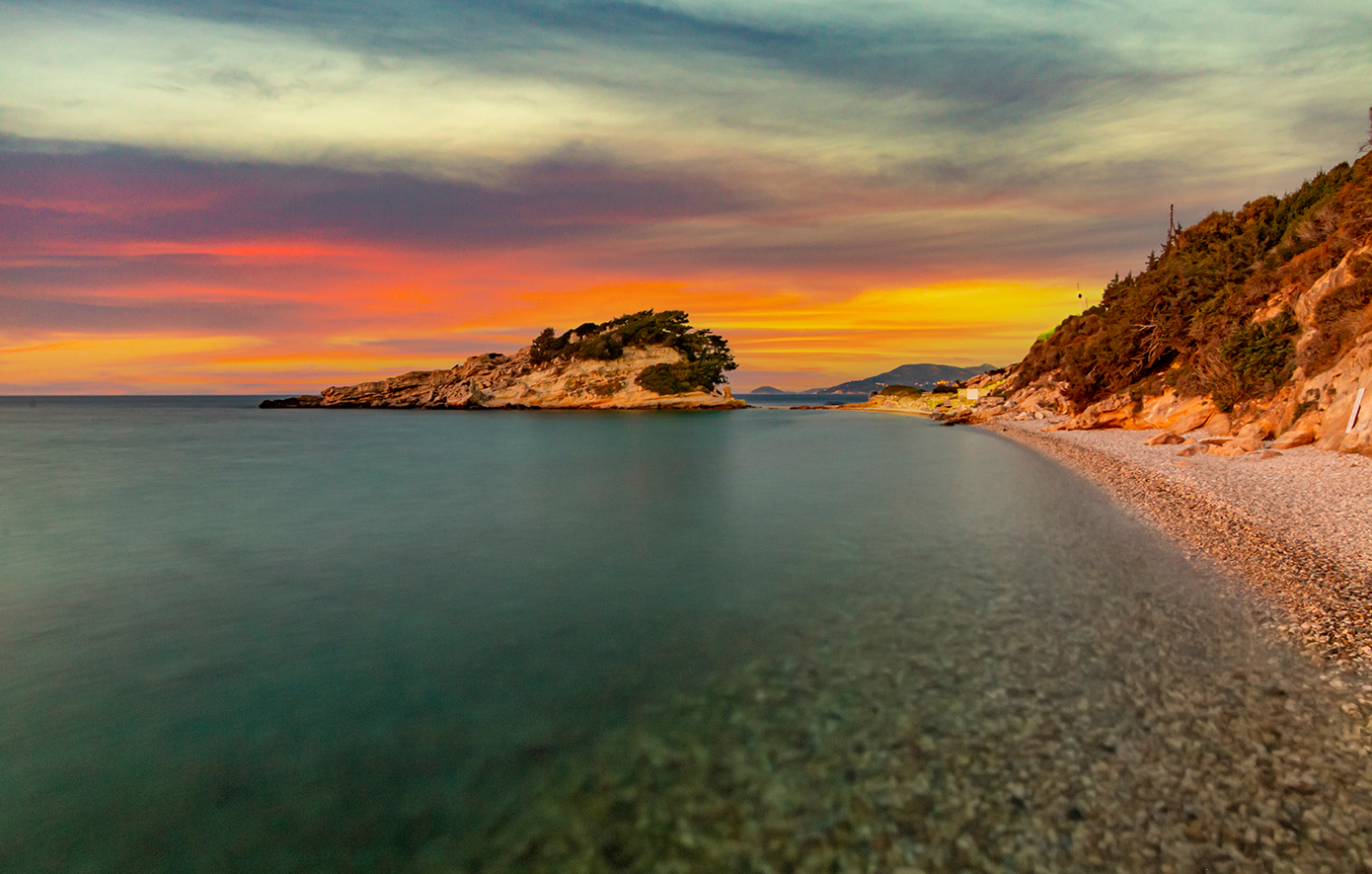 Κοκκάρι Κοκκάρι