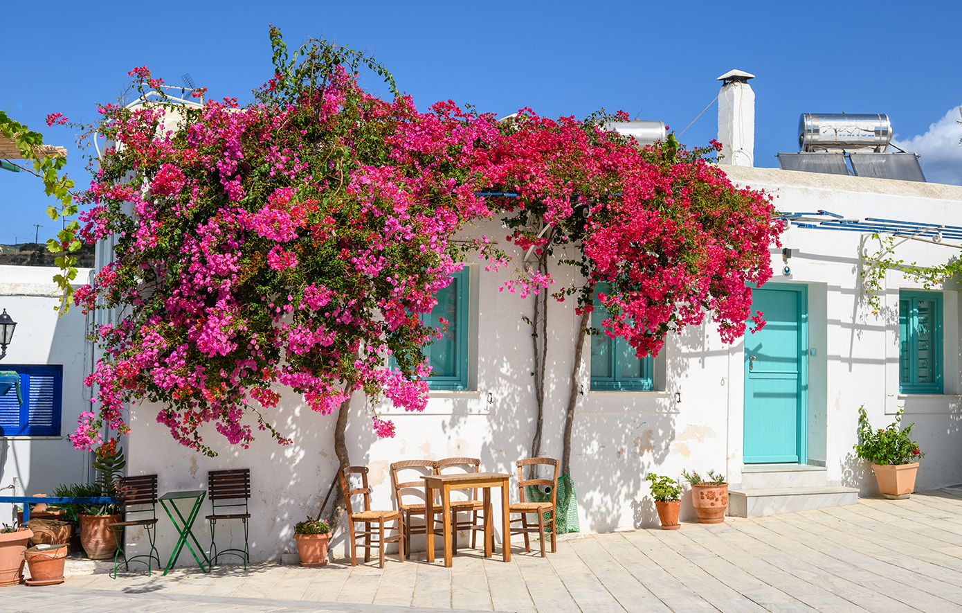 Λεύκες, Πάρος Λεύκες, Πάρος