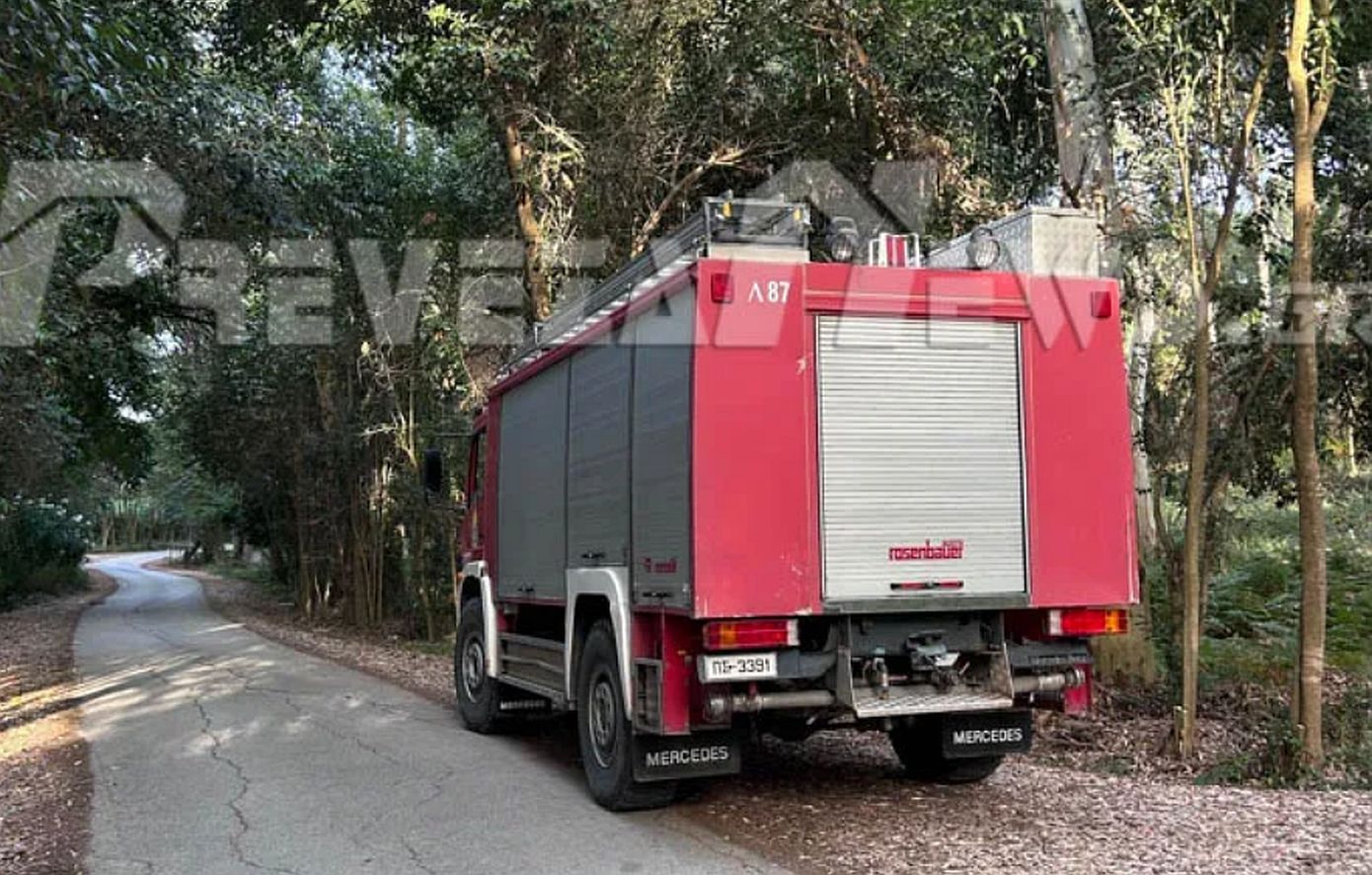 Πρέβεζα: Συνελήφθη 38χρονος αλλοδαπός για εμπρησμό στο δάσος Μονολίθου