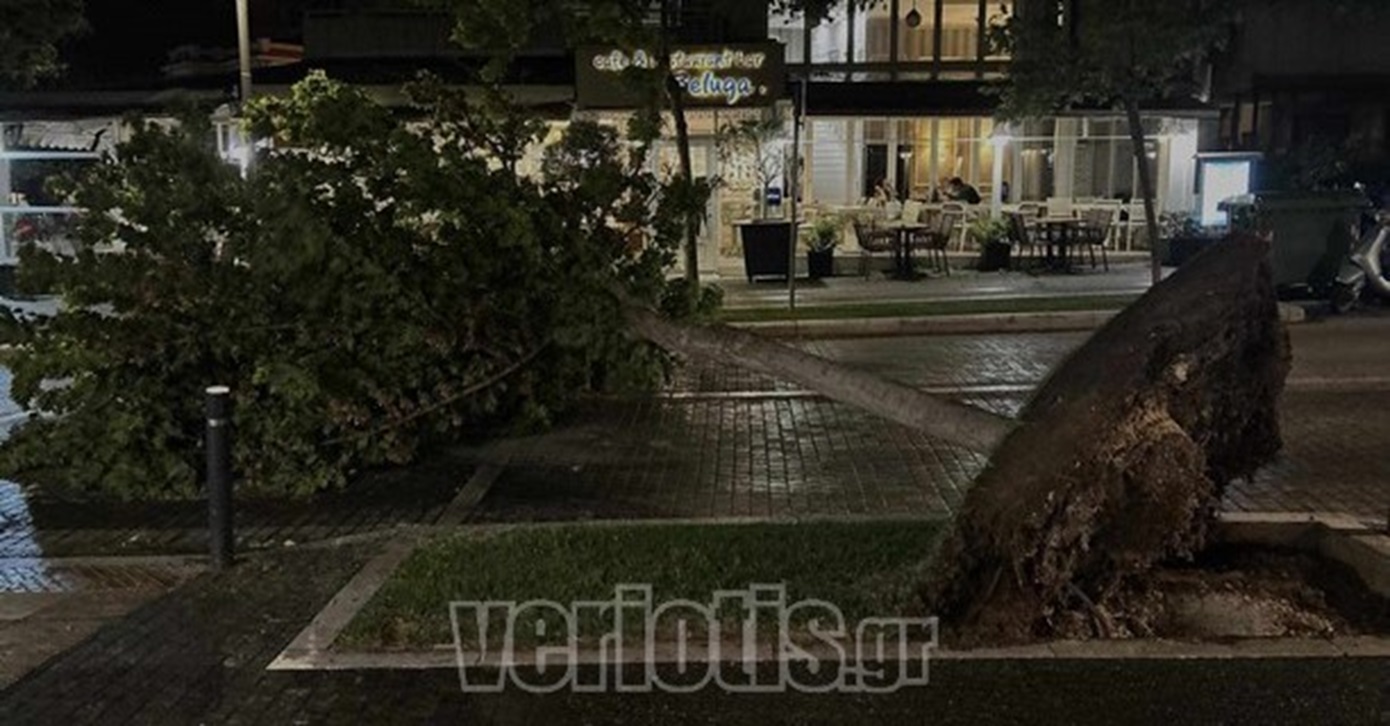 Ξεριζώθηκαν δέντρα στη Βέροια από καλοκαιρινό μπουρίνι – Χωρίς ρεύμα αρκετές περιοχές