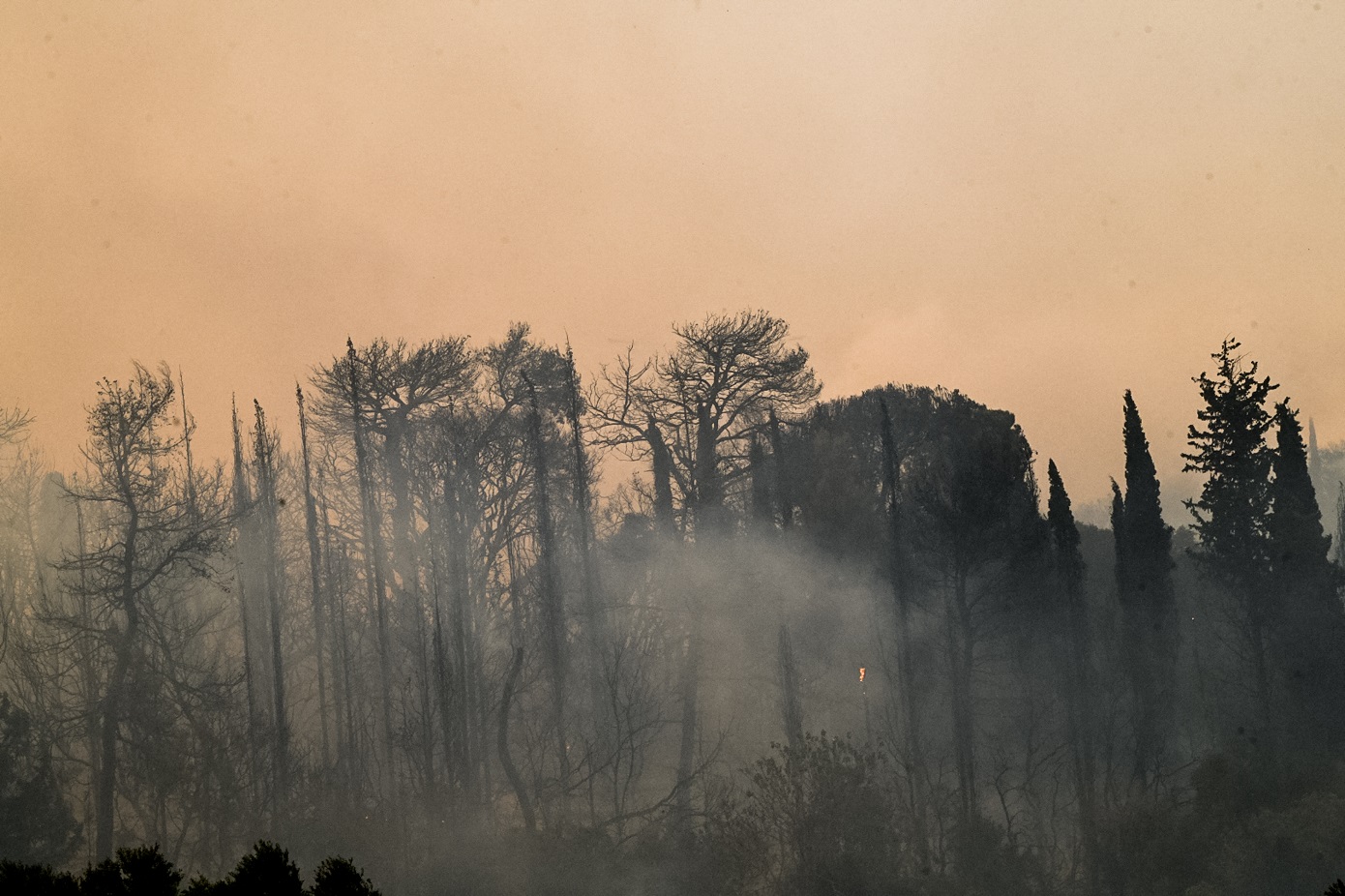 Αγροτοδασική φωτιά στη Μηλίτσα Μεσσηνίας