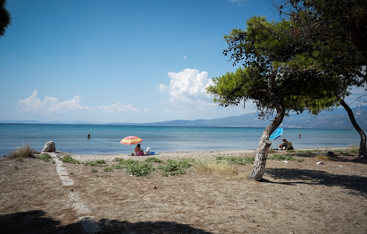 «Είναι παράξενο – Το τατουάζ παραπέμπει σε συγκεκριμένη ομάδα ανθρώπων» – Μυστήριο με τη σορό στον Σχινιά