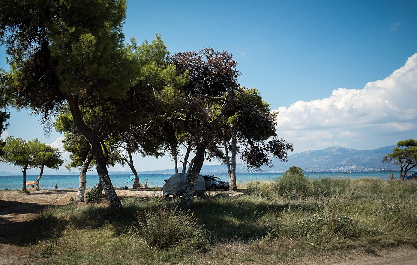 Συνεχίζεται το θρίλερ με τη σορό που βρέθηκε στον Σχινιά &#8211; Δεν μπόρεσε να διαπιστωθεί η ακριβής αιτία θανάτου