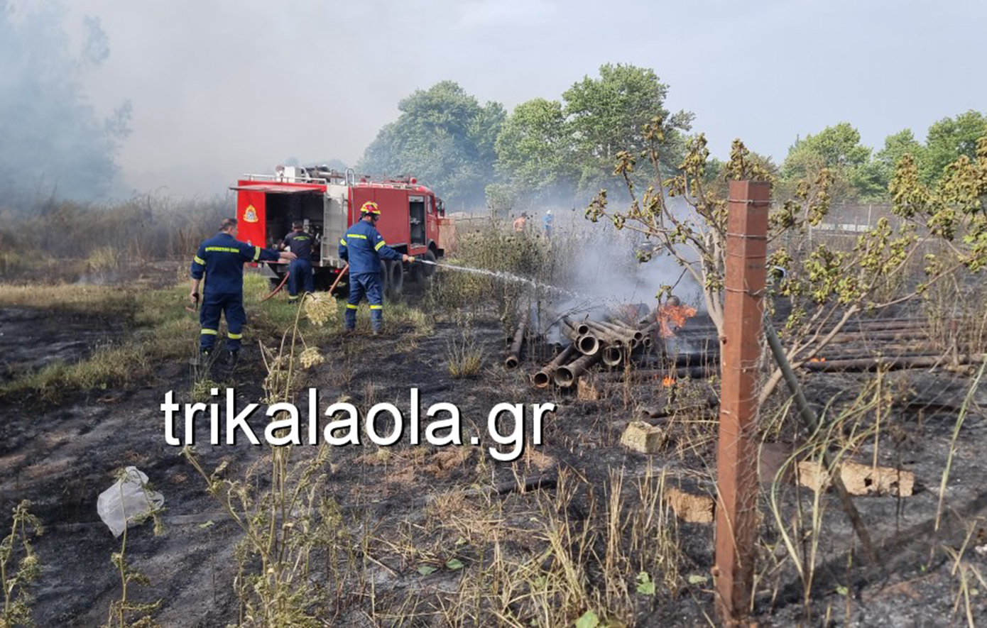 Φωτιά «έκανε στάχτη» κτηνοτροφική μονάδα στα Τρίκαλα – Κάηκαν ζωντανά τα ζώα, βίντεο και φωτογραφίες