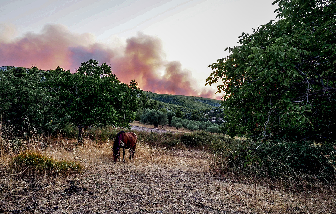 ευβοια ευβοια