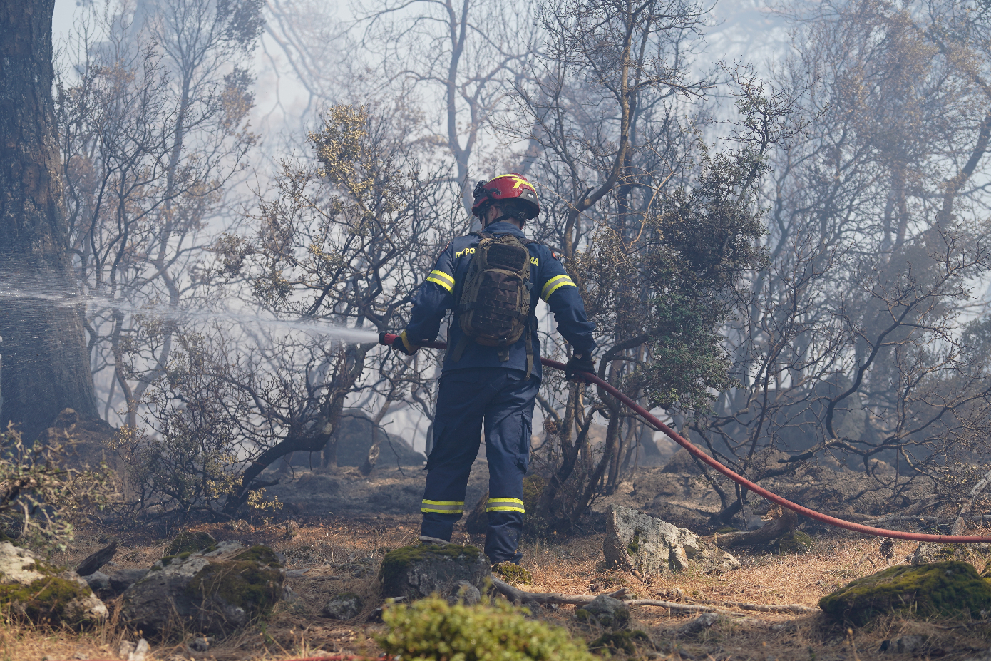 Συνελήφθη 28χρονος για την πυρκαγιά στο Μανταμάδο Λέσβου