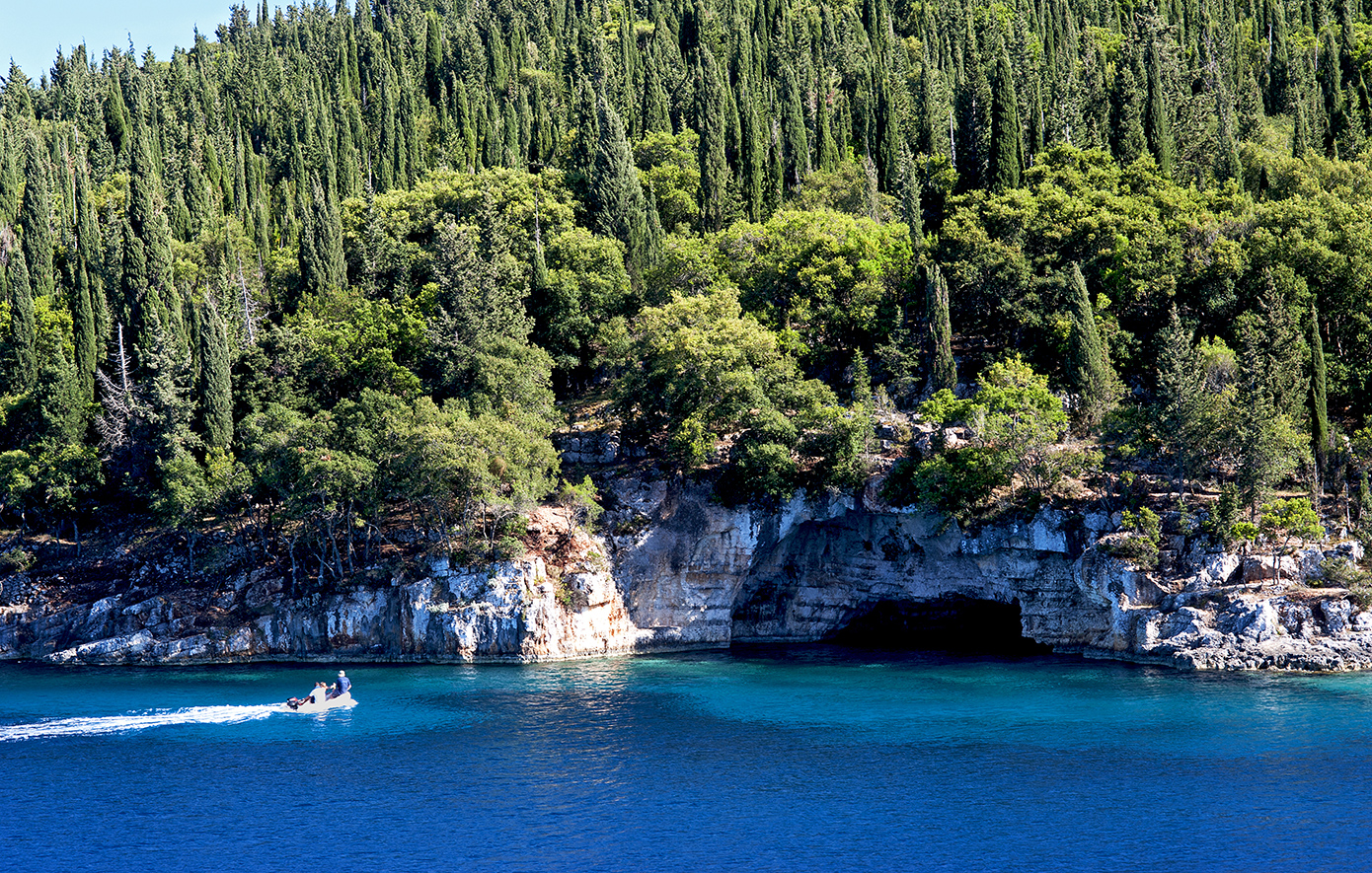 Φώκι Κεφαλονιά Φώκι Κεφαλονιά