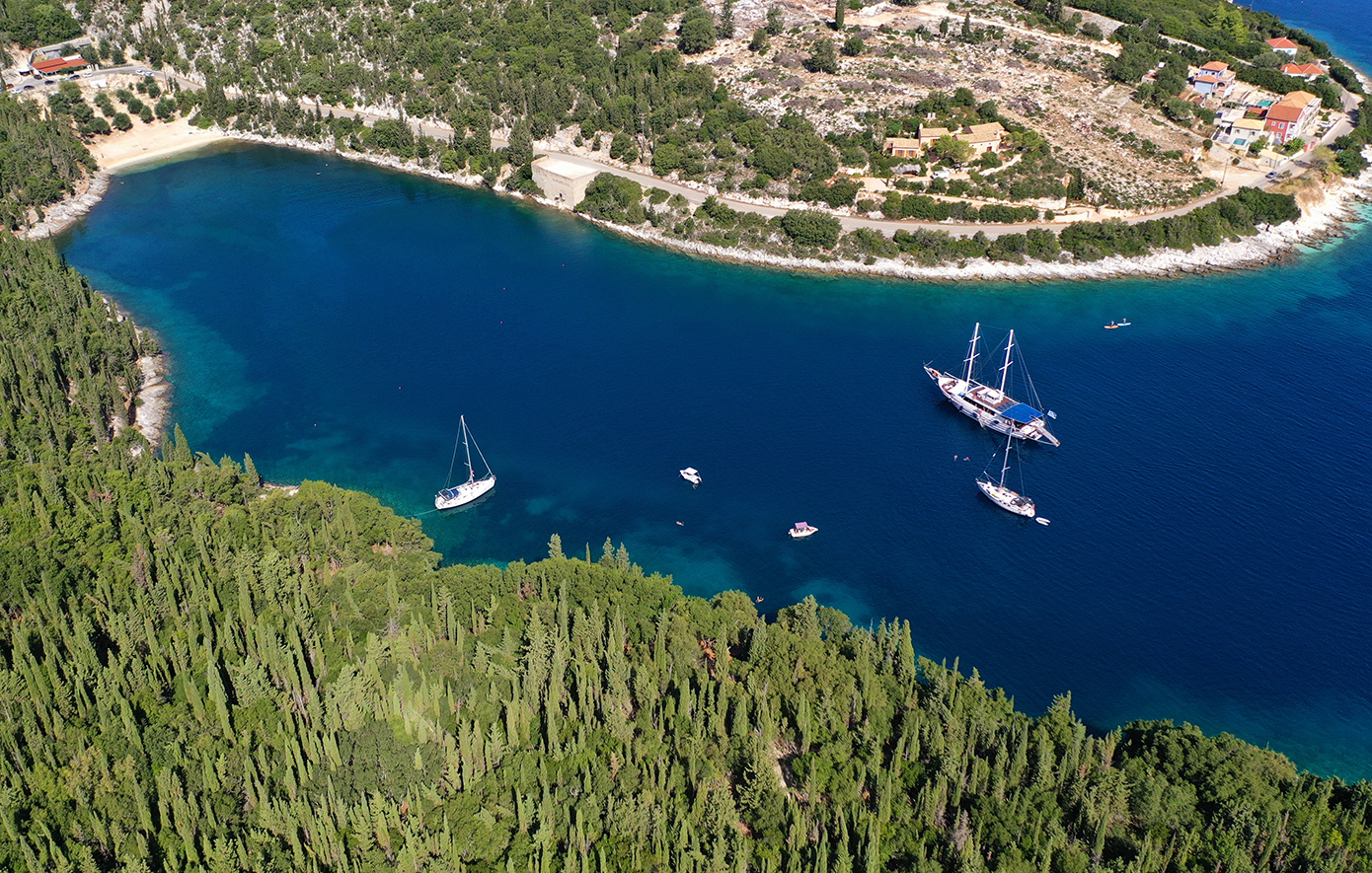 Φώκι Κεφαλονιά Φώκι Κεφαλονιά