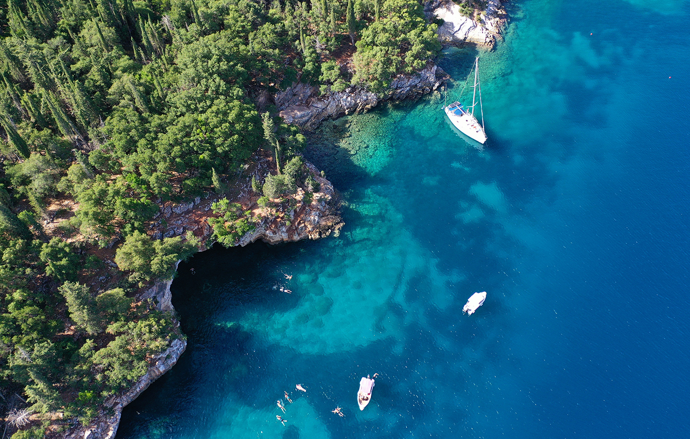 Φώκι Κεφαλονιά Φώκι Κεφαλονιά