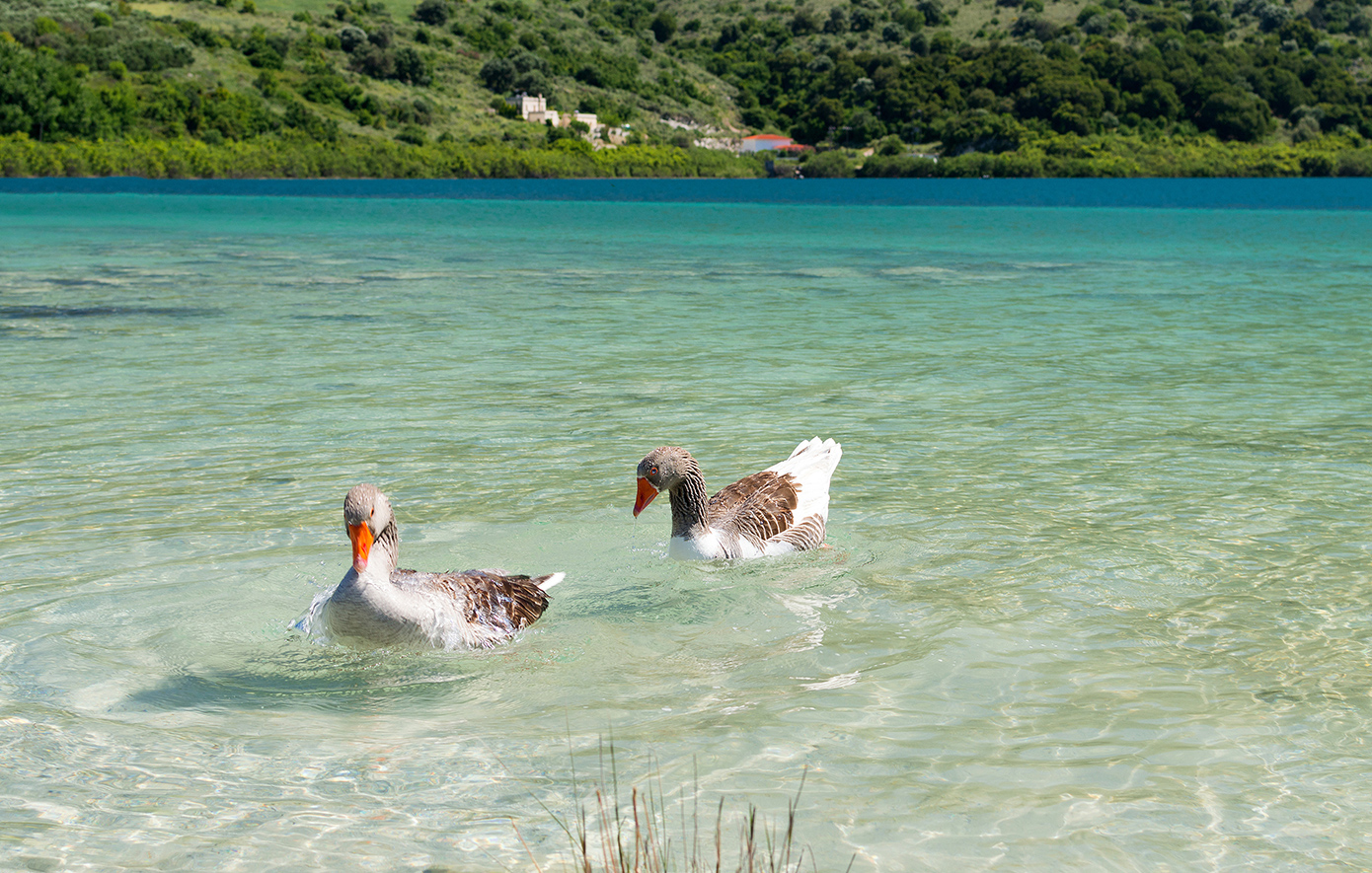 Λίμνη Κουρνά Κρήτη