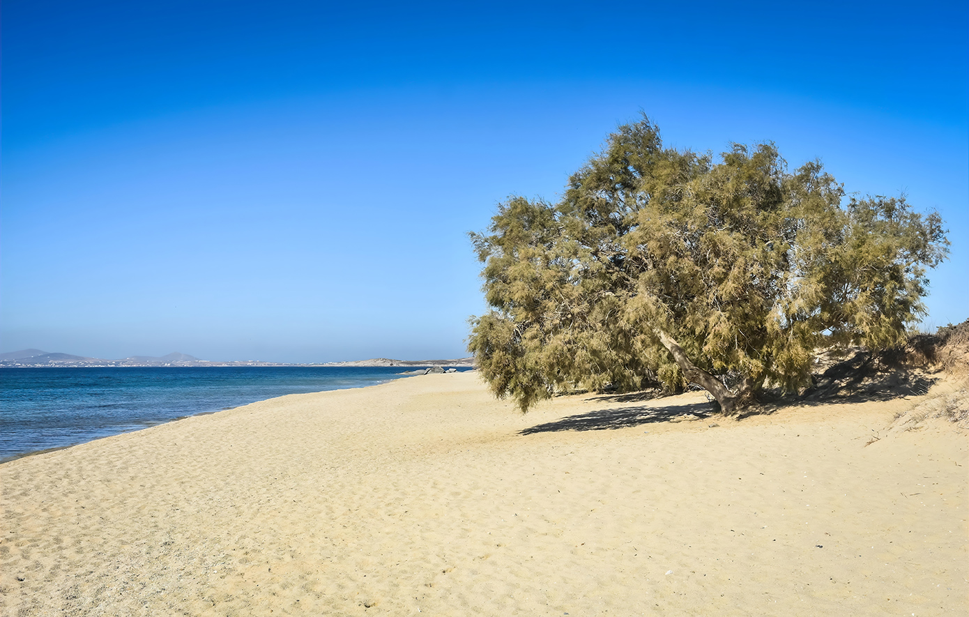 Πλάκα Νάξος