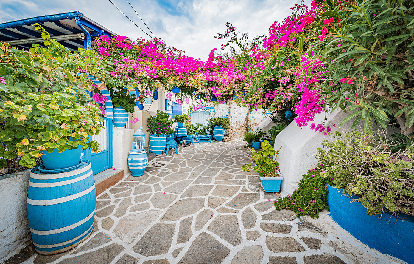 Πρόδρομος Πάρος Πρόδρομος Πάρος