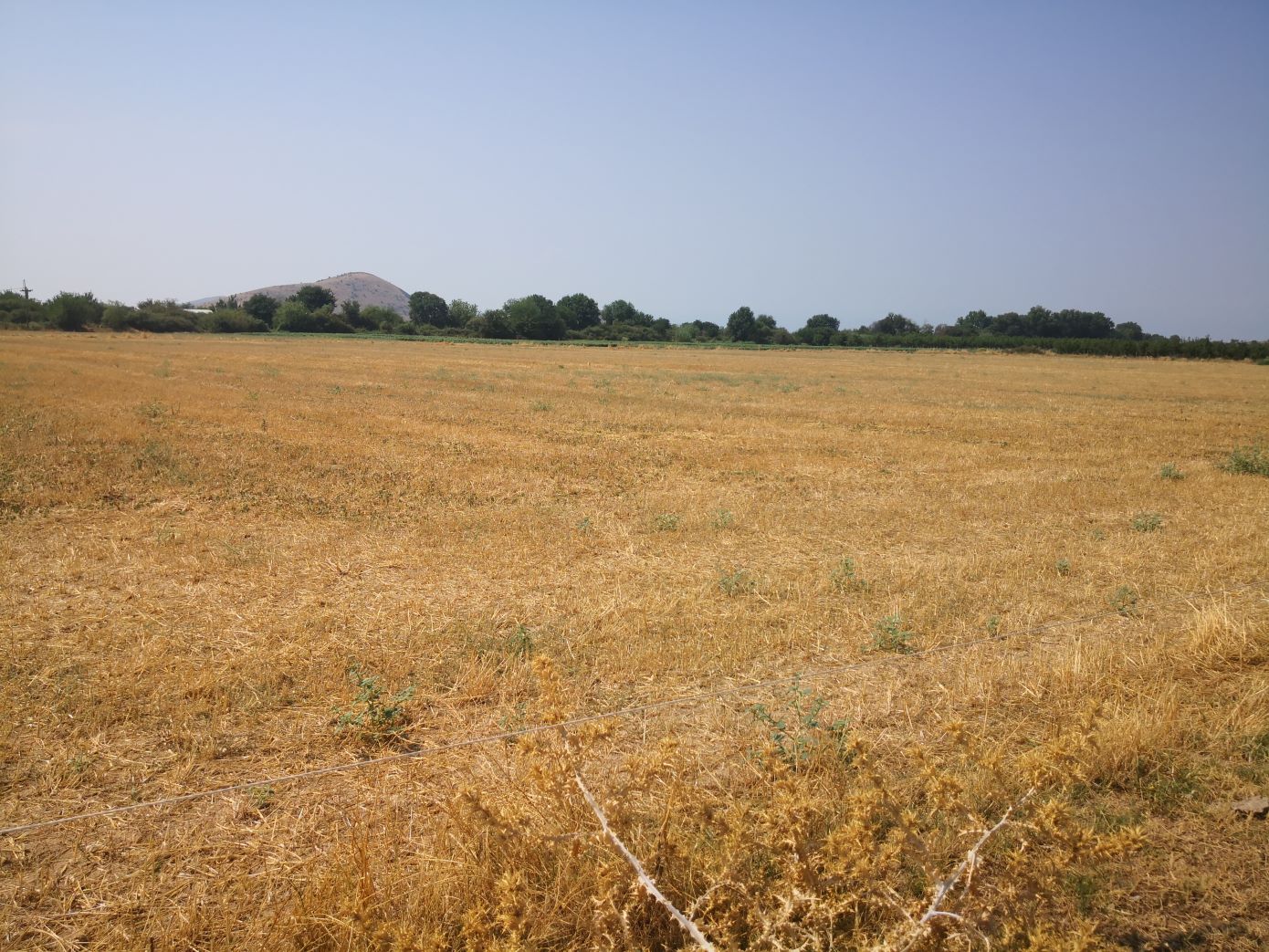 Ακριβό και το χωράφι, μετά το ράλι σε διαμερίσματα και οικόπεδα – Αυξήσεις 35% στα αγροτεμάχια