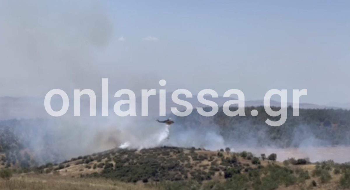 Υπό μερικό έλεγχο οι φωτιές σε Φάρσαλα και Αγιά Λάρισας – Υπό πλήρη έλεγχο η πυρκαγιά στην Ύδρα