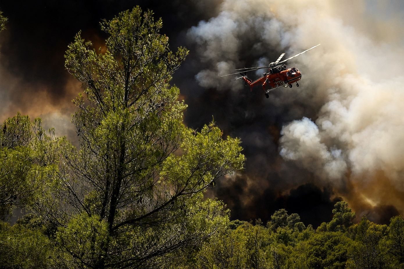 Φωτιά τώρα στο Μαρκόπουλο &#8211; Ξέσπασαν δύο εστίες