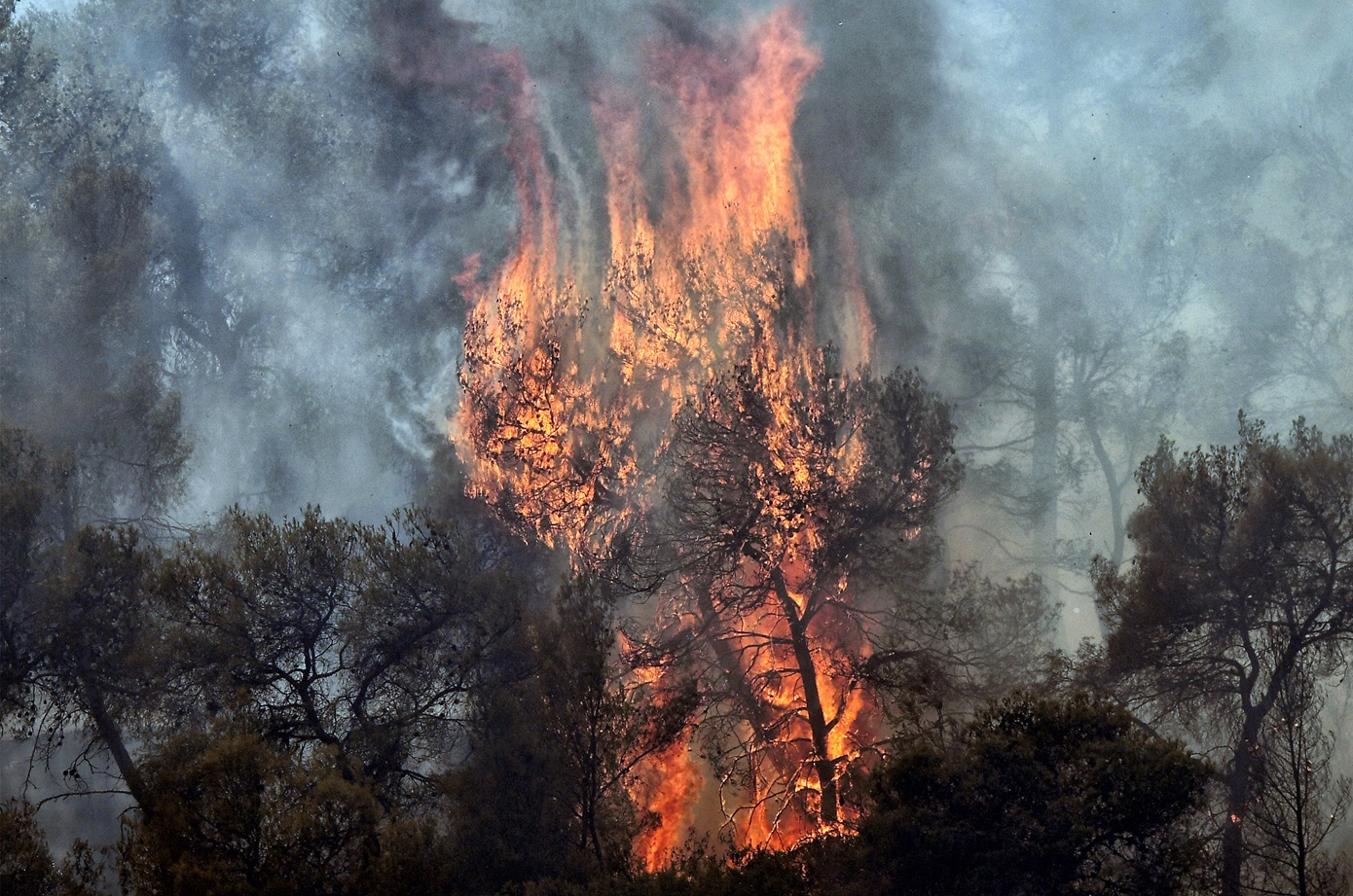 Ολονύχτια η μάχη με τις φλόγες στο Σοφικό Κορινθίας σε διάσπαρτες εστίες – Εθελοντής Πυροσβέστης υπέστη καρδιακό επεισόδιο