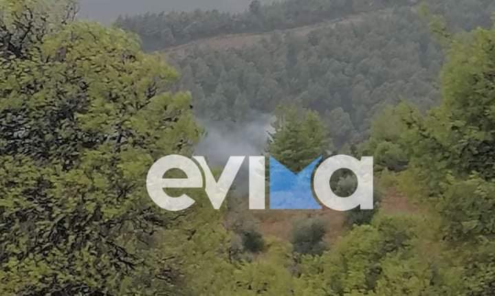 Φωτιά από κεραυνό στο χωριό Φύλλα της Χαλκίδας