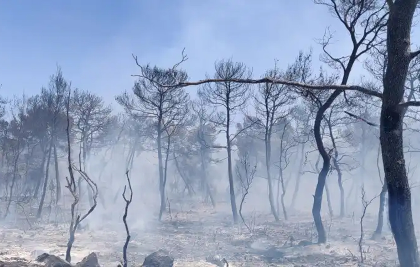 φλόγες στο Σοφικό Κορινθίας φλόγες στο Σοφικό Κορινθίας