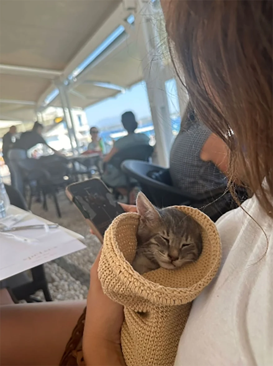 Τουρίστρια έσωσε γατάκι από πνιγμό στις Σπέτσες