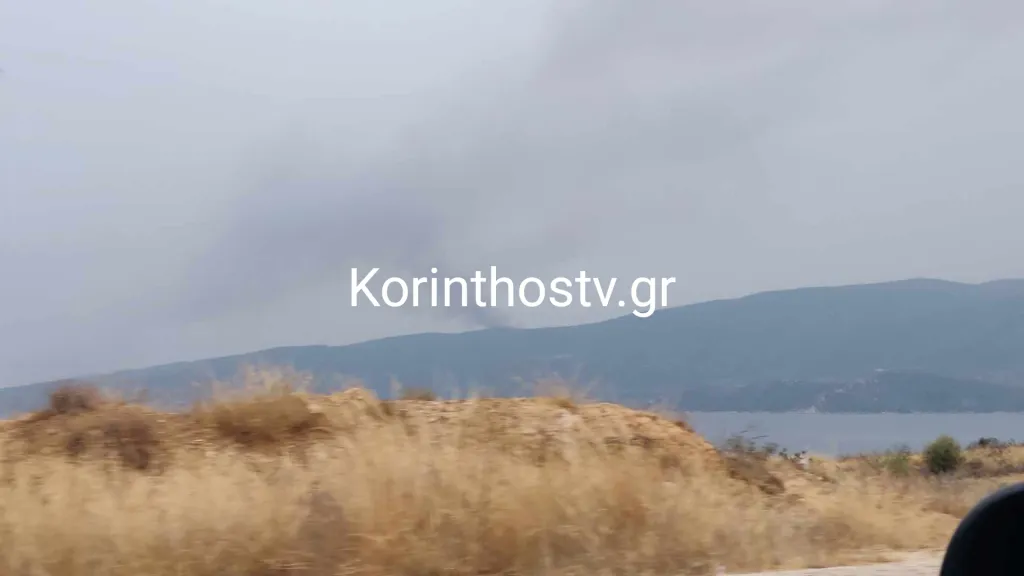 Φωτιά από πτώση κεραυνού στο Αμόνι Κορινθίας &#8211; Τραυματίστηκε ο υποδιοικητής της πυροσβεστικής