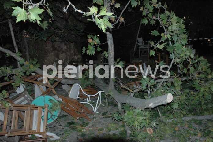 Μπροστά στα μάτια του συζύγου της σκοτώθηκε η 44χρονη στο Λιτόχωρο – Έτρωγαν και έπεσε κλαδί πλατάνου στο τραπέζι τους