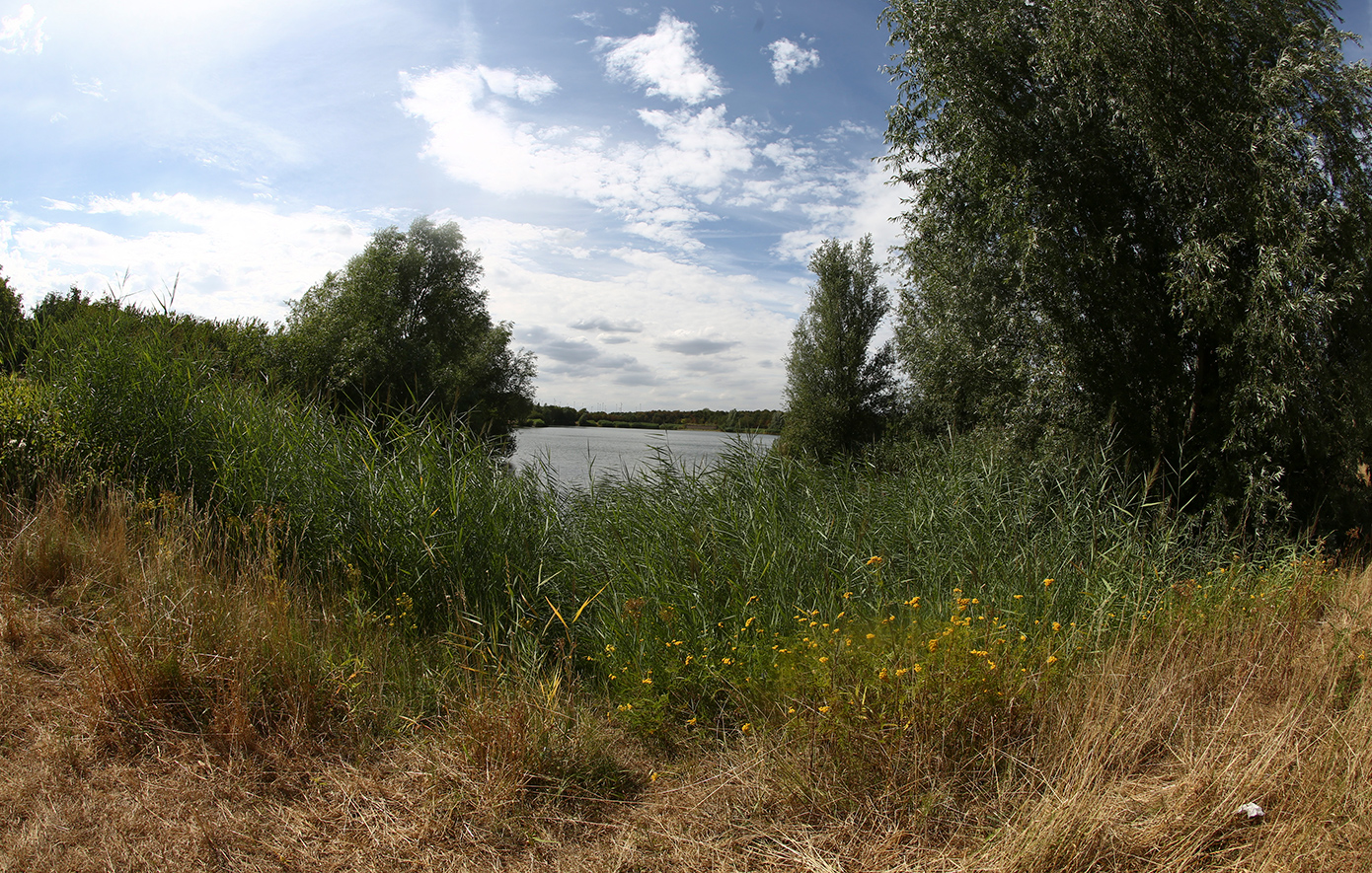 Καθάρισμα οικοπέδων