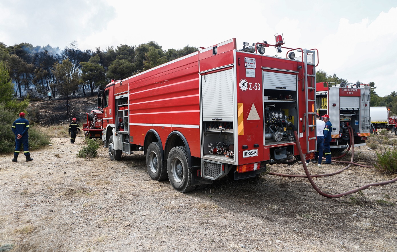 Αναζωπυρώθηκε η φωτιά στο Πευκόδασος Κιλκίς &#8211; Βίντεο