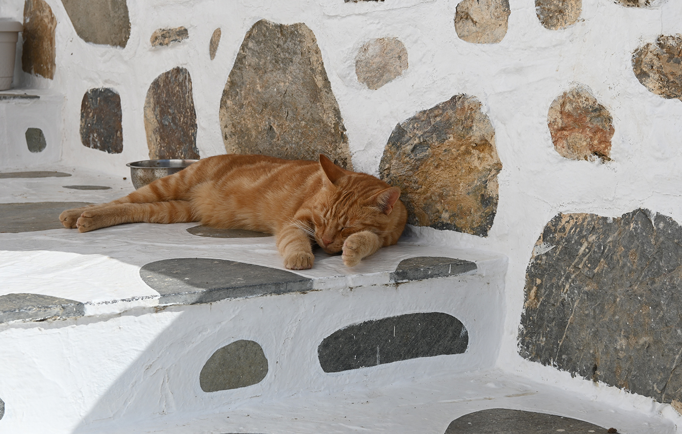 Θολάρια Αμοργός Θολάρια Αμοργός