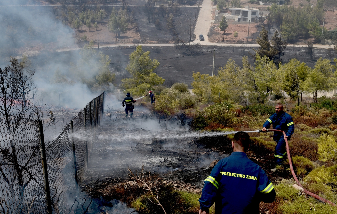 Οριοθετήθηκε η φωτιά στην Παλαιομάνινα – 42 δασικές πυρκαγιές σε όλη τη χώρα το τελευταίο 24ωρο