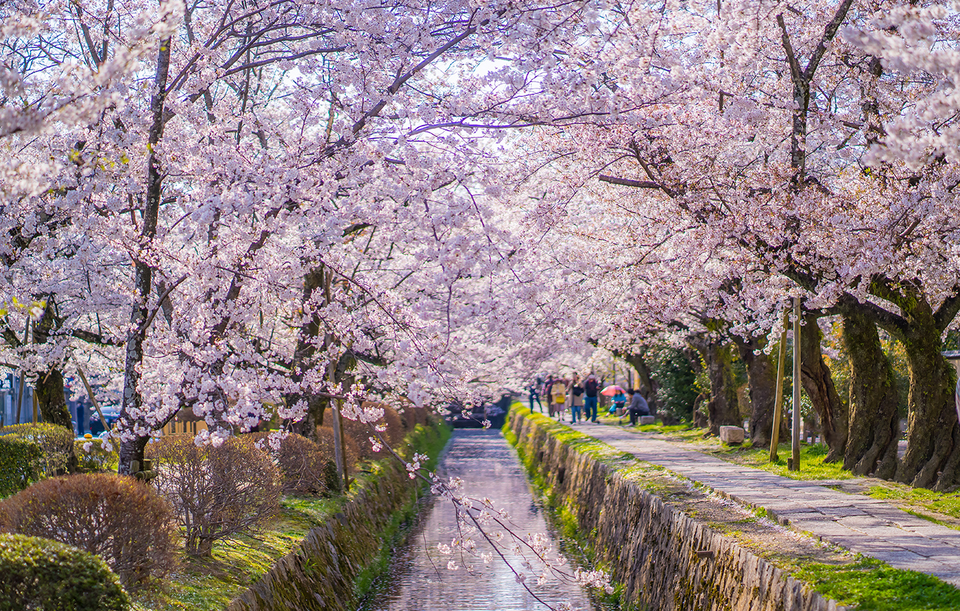 Διάσημοι δρομοι