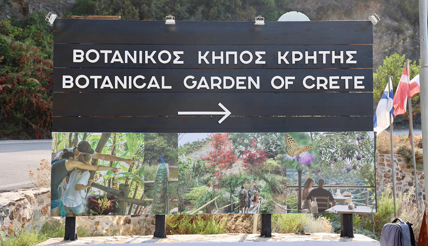 γαμος κασσελακη