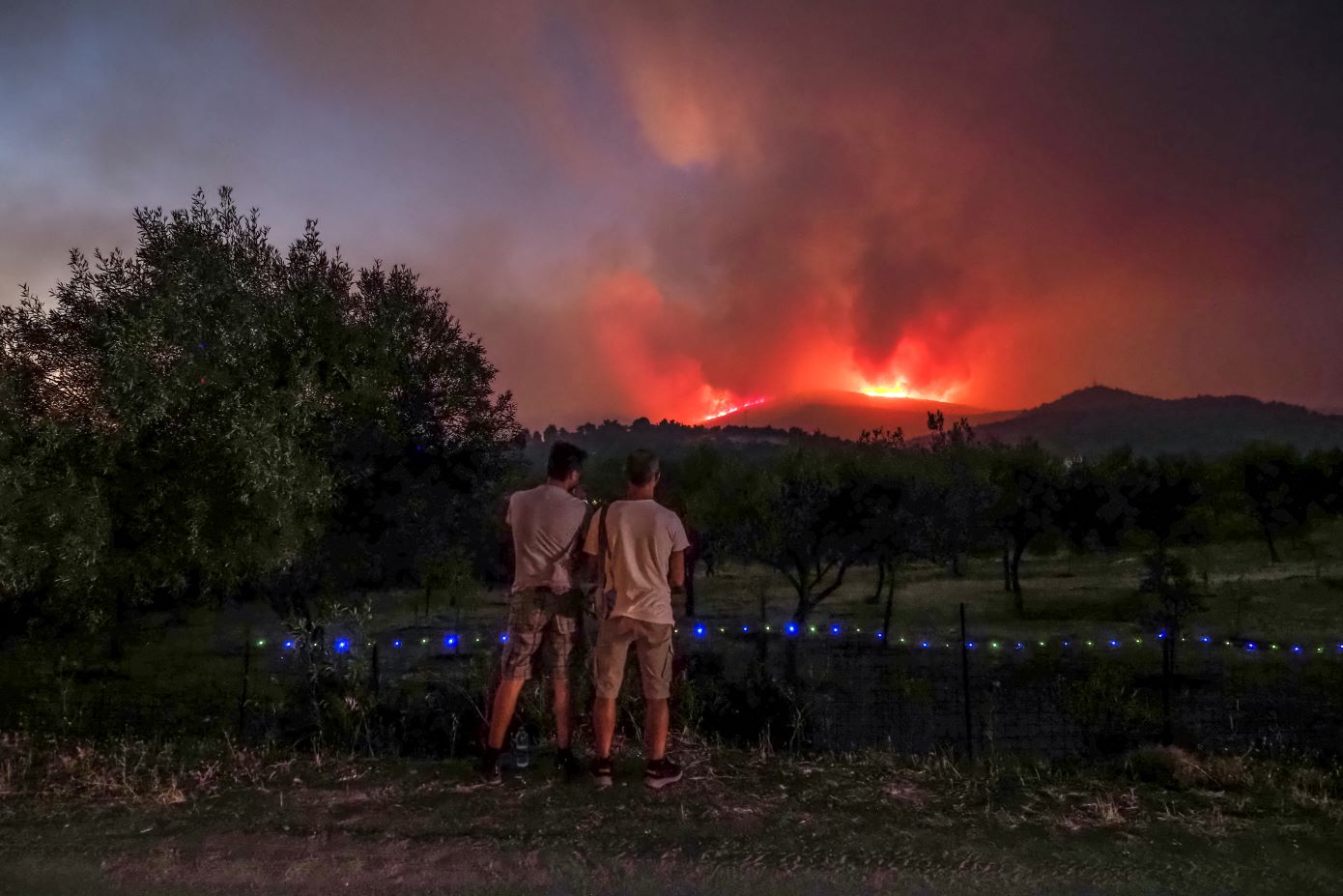 Φωτιά στην Εύβοια: Ολονύχτια μάχη για να ανακοπεί το μέτωπο – Ξεκίνησαν και πάλι τα εναέρια μέσα