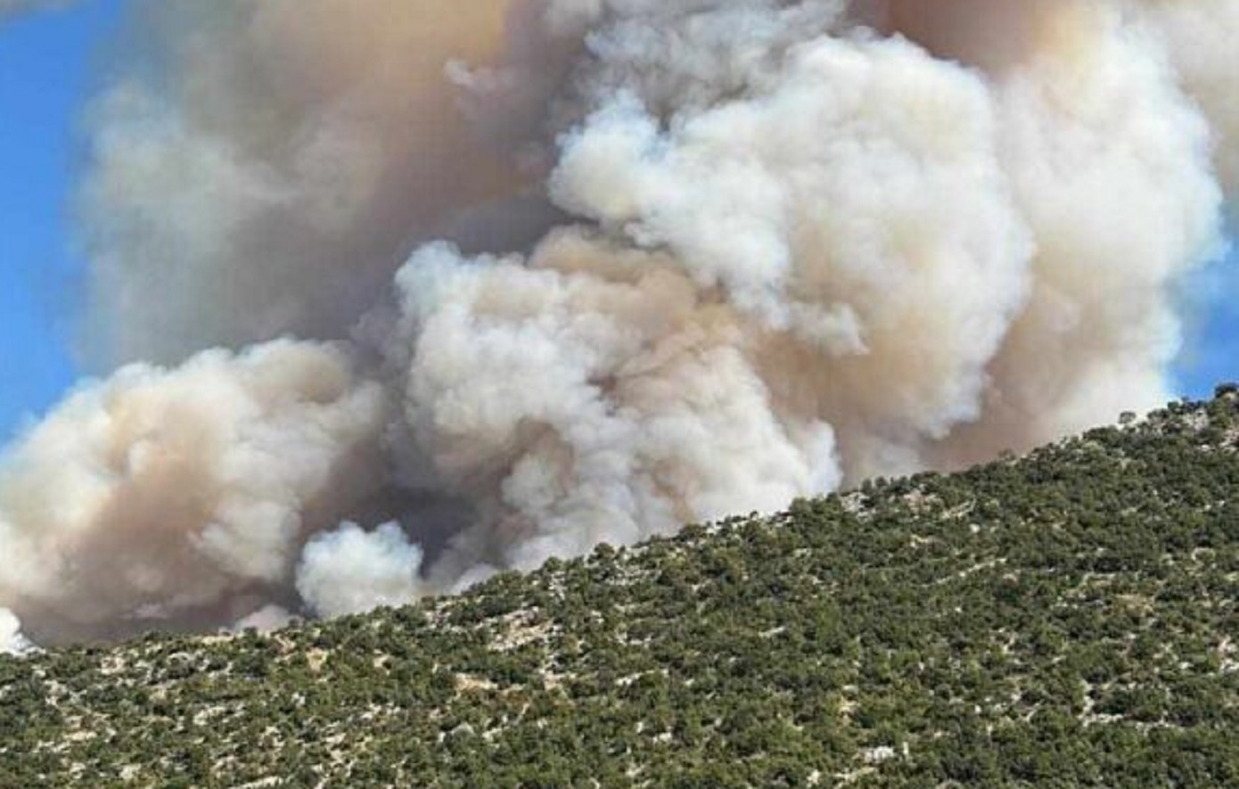 Μεγάλη φωτιά στον Παλαμπά Θεσπρωτίας – Ήχησε το 112, κοντά στο χωριό οι φλόγες