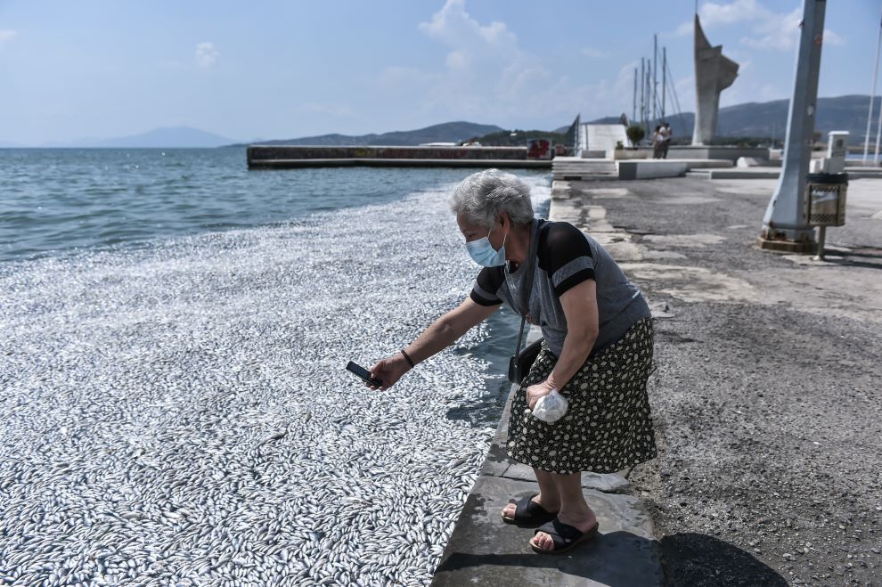 Τσιάρας για νεκρά ψάρια στον Παγασητικό: Η εικόνα μάς δημιουργεί μεγάλη ανησυχία
