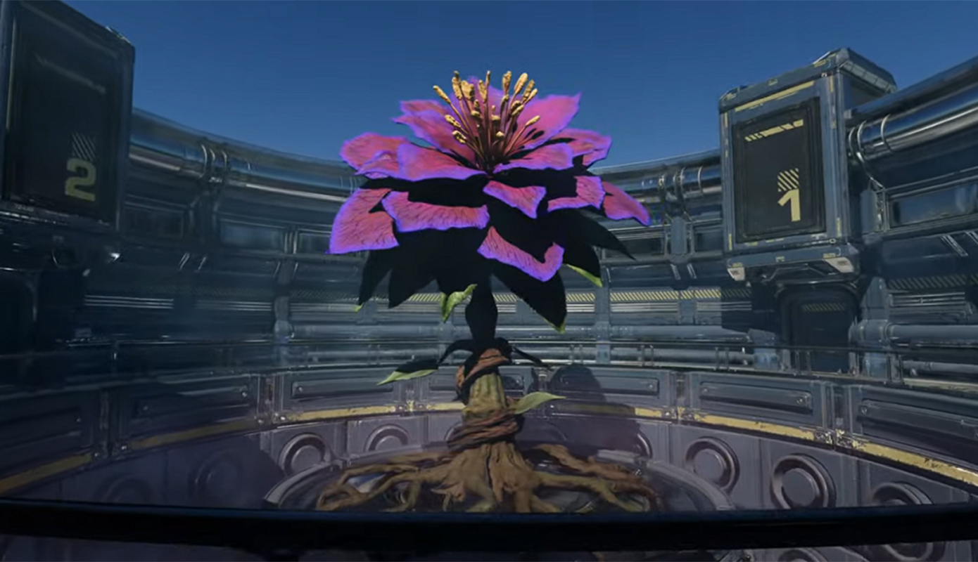 αιφον αιφον