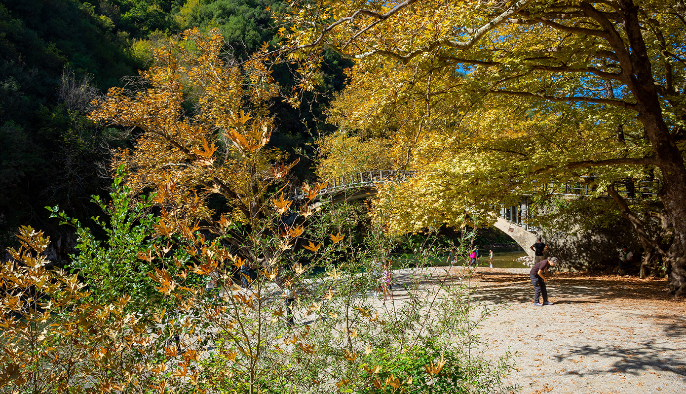 Αριστη Ζογορια Αριστη Ζογορια