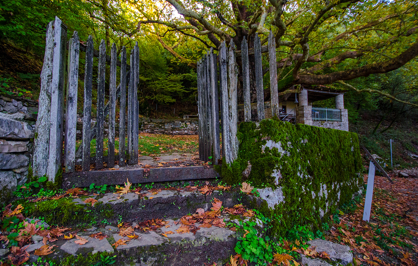 Δρακολίμνη Τύμφης