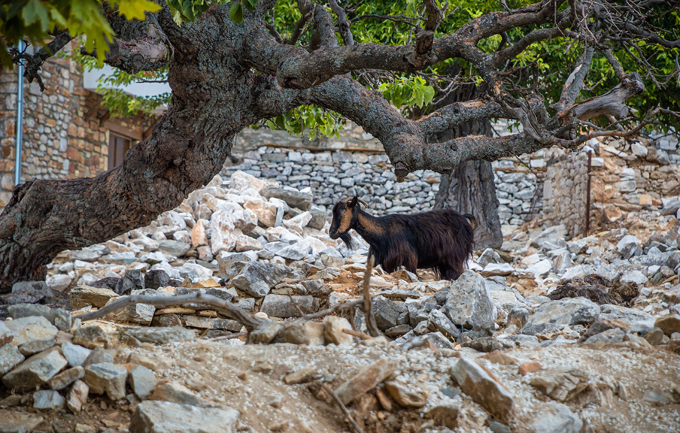 Κάστρο Θάσου Κάστρο Θάσου
