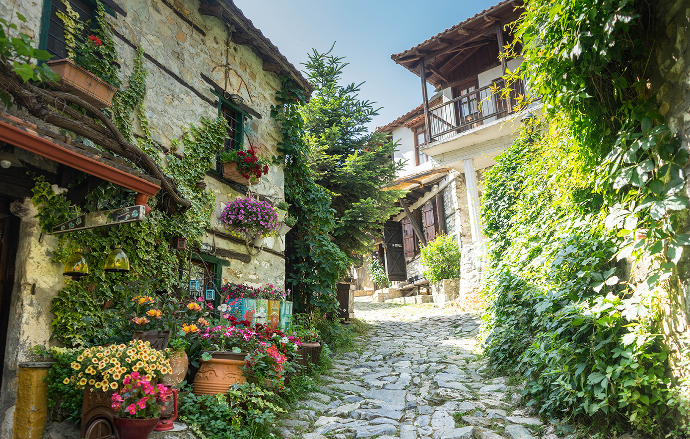 Παλαιός Παντελεήμονας Όλυμπος