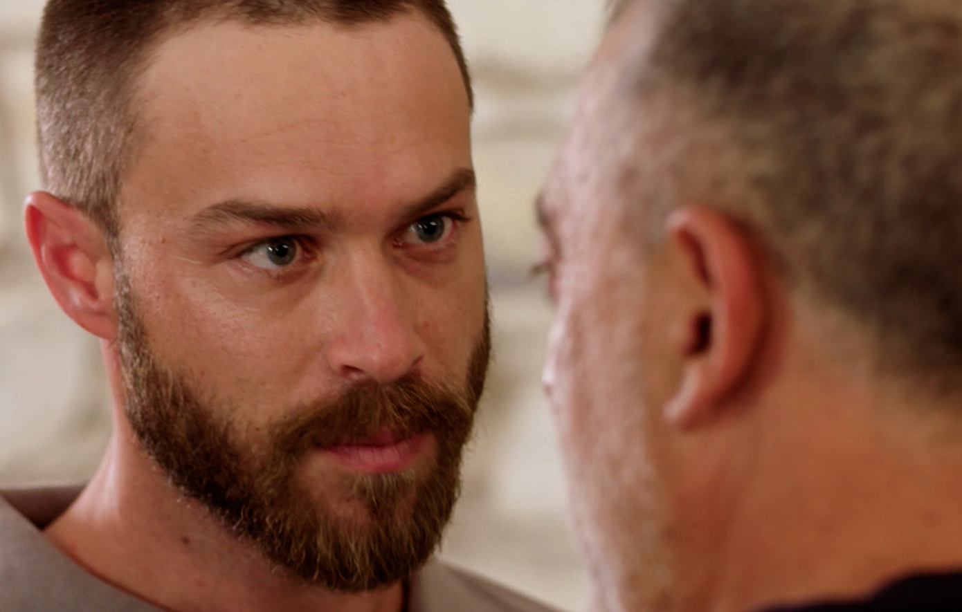 Η γη της ελιάς Η γη της ελιάς