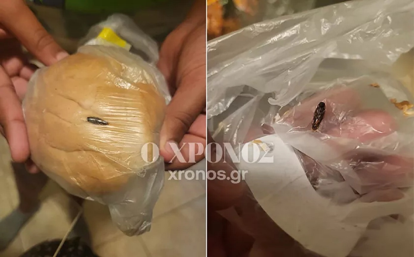 Μαθήτρια στην Κομοτηνή βρήκε κατσαρίδα μέσα στο ψωμί του σχολικού γεύματος – Ανατριχιαστικές εικόνες