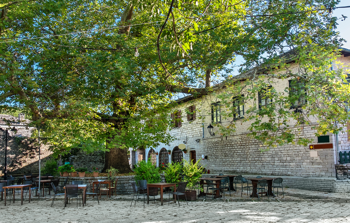 Μονοδένδρι Μονοδένδρι