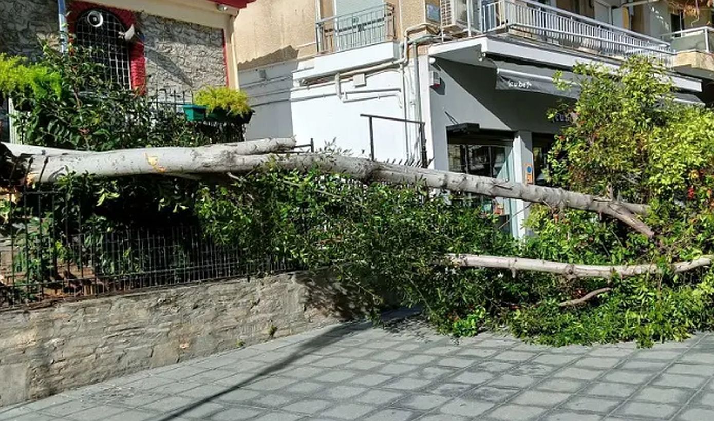 Θεσσαλονίκη: Πολλά τα προβλήματα από τους θυελλώδεις ανέμους – Πάνω από 20 πτώσεις δέντρων