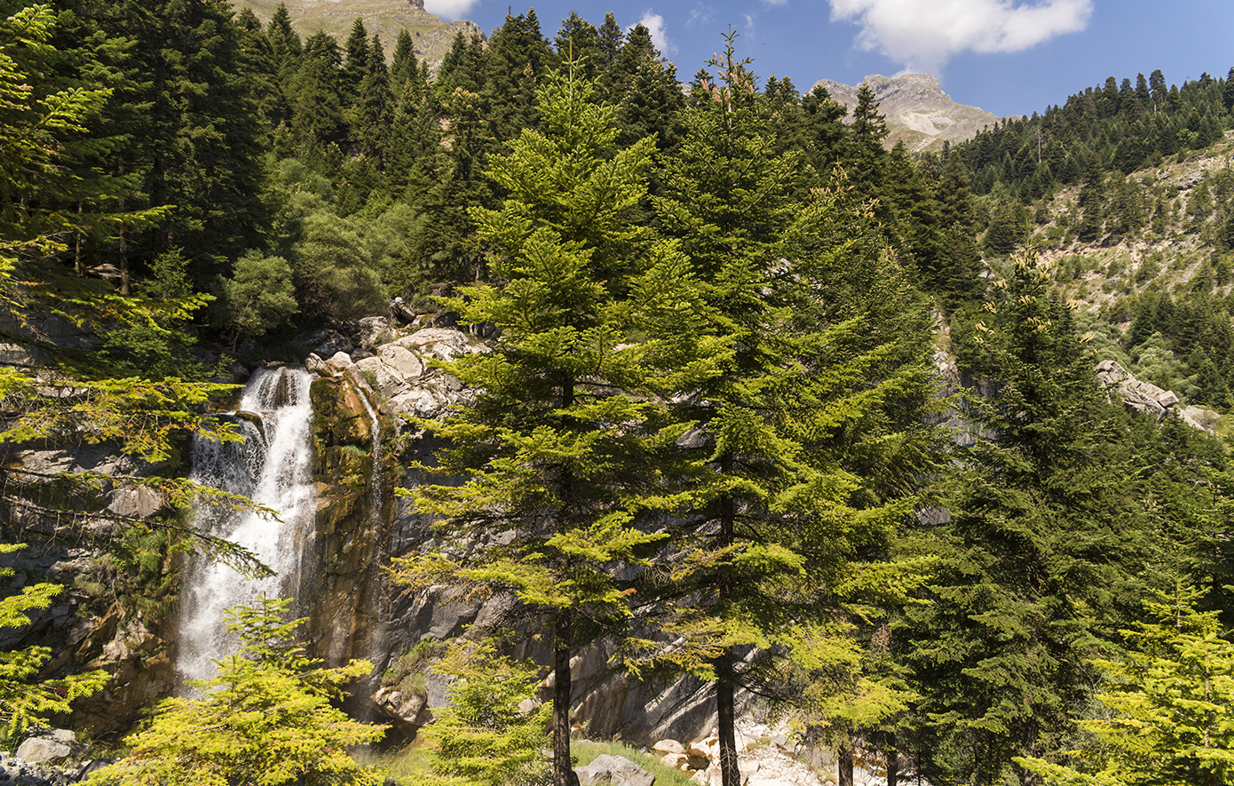 Θεοδώριανα Άρτα Θεοδώριανα Άρτα