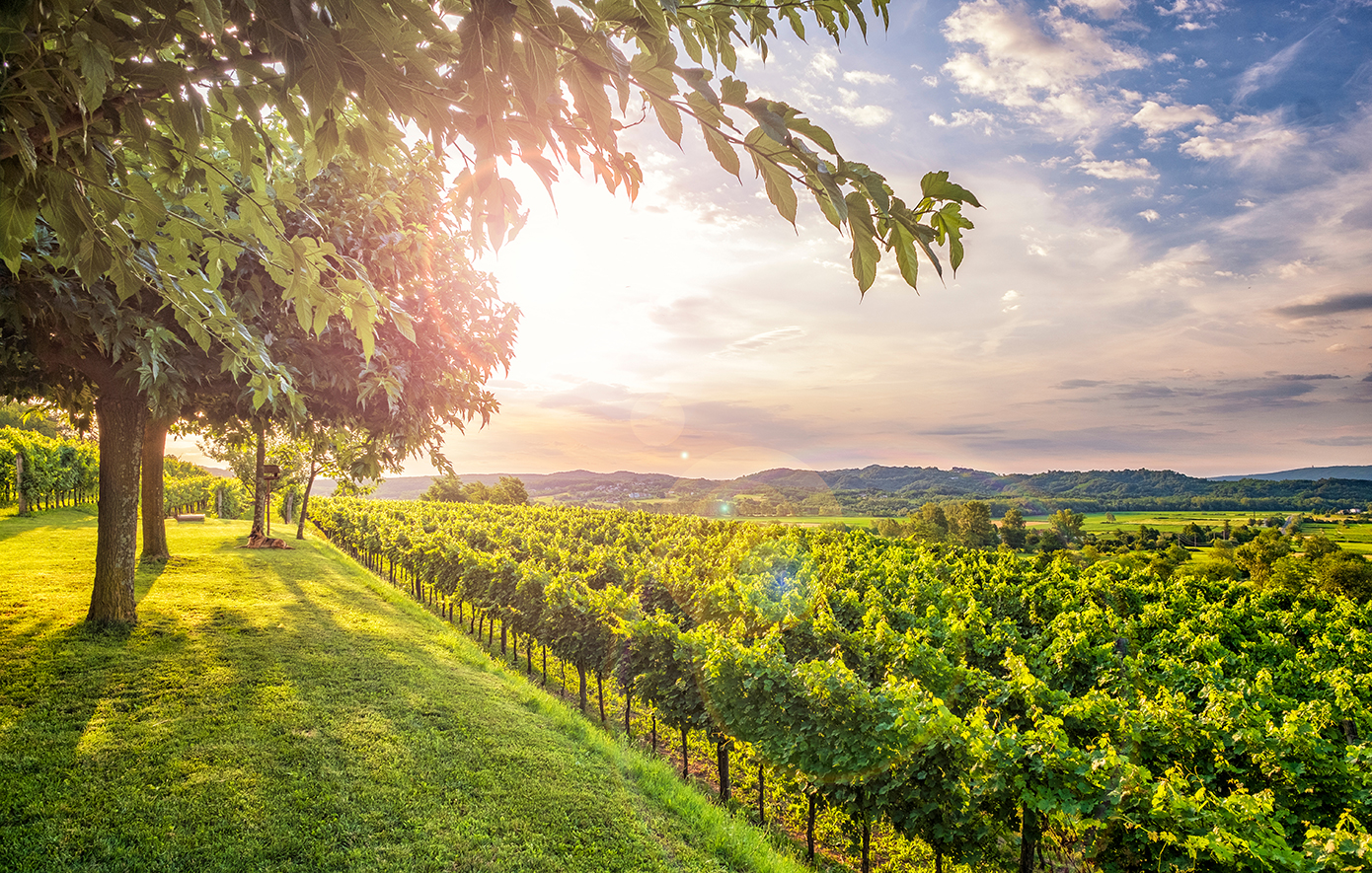 Vipava Σλοβενία Vipava Σλοβενία