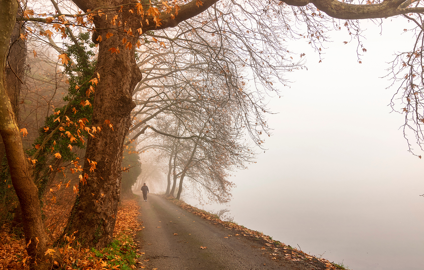 Λίμνη Λίμνη